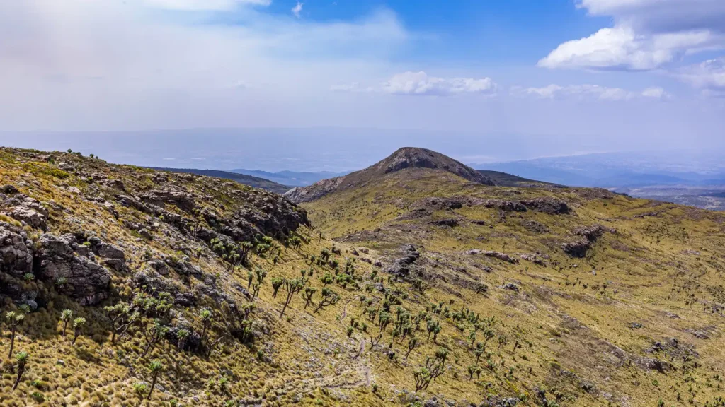 6 Days Machame Route Climb