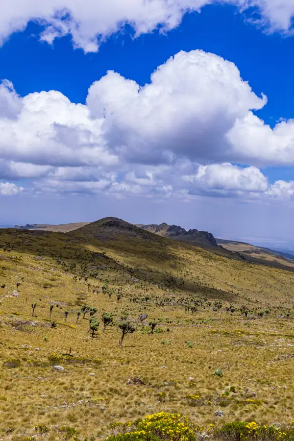 6 Days Machame Route Climb2